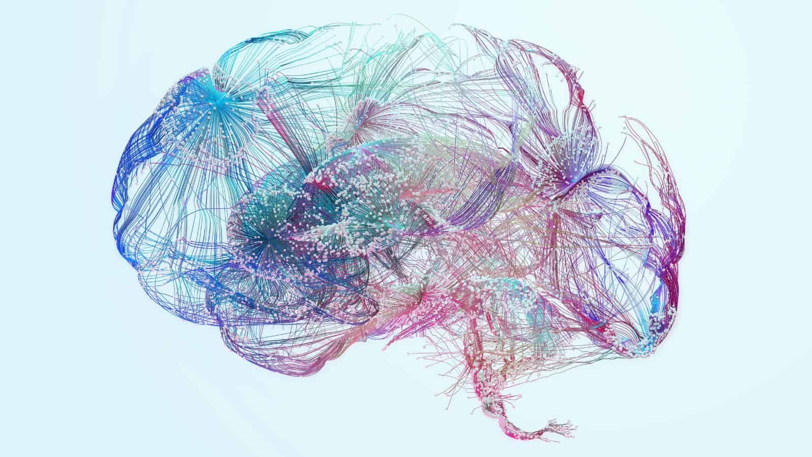 Image shows illustration of a brain neural network.